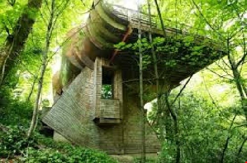 پاورپوینت معماری طبیعت گرا (ارگانیک)