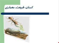 پاورپوینت مورچه