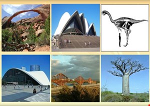 پاورپوینت آموزه هایی از سازه های طبیعی