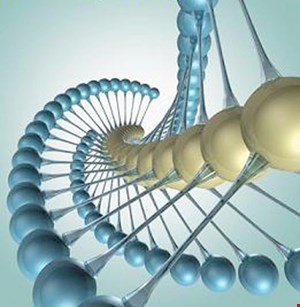  پاورپوینت نانومعماری چشم اندازی نو در کاهش مصرف انرژی 18 اسلاید 