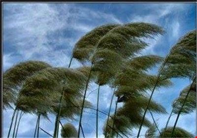  مقاله کامل در مورد باد ۷۵ اسلاید