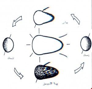 پاروپوینت  طراحی اقلیمی ۷۱ اسلاید