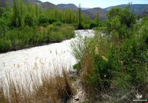 پاورپوینت کامل روستای بنفش تپه بندر گز 116 شیت