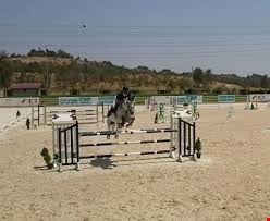 باشگاه سوارکاری